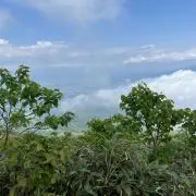 こうぴょん