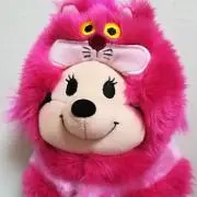 ももんちゃん(✰⋆お値下げできます⋆✰)の画像