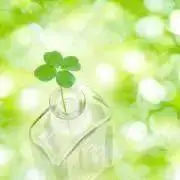 なま