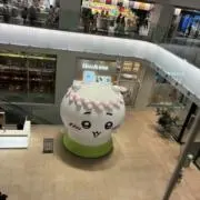 ぽんの画像