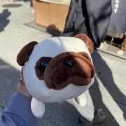 けけの画像