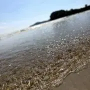 Happy_runの画像