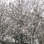 Mの画像