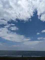 たにたにの画像