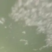 ou.