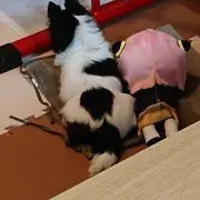 ひでっち