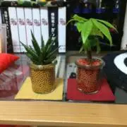 Sbの画像
