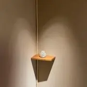 週末発送不可　ゆうゆう⇄らくらく変更ありの画像