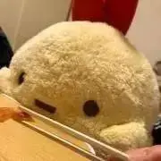 キャス