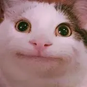 Yukiの画像