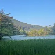 ko-haの画像