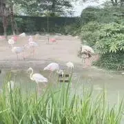 キキ★の画像