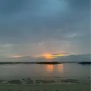 咲良の画像