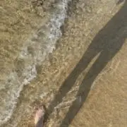 m 10/20発送NGの画像