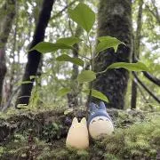 kuuの画像