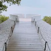 オリーブの画像