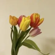 .+*:・ゆきんこの宝箱+.・:*の画像