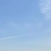 wavecoの画像