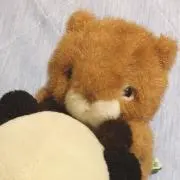 たむたむ