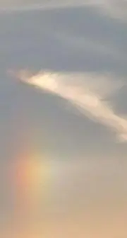 PMの画像