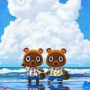 まめきち