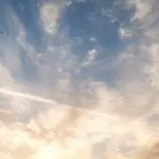 yuki__の画像
