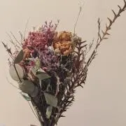 むっちゃりの画像