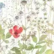 ＊無花果＊プロフ必読の画像