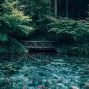 そば茶