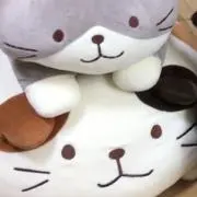 ぱんだの画像