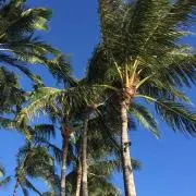 Ni★即購入OKの画像