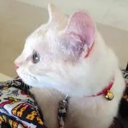 RYOmama♡