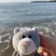 ぽにゃ
