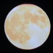 ヤマ