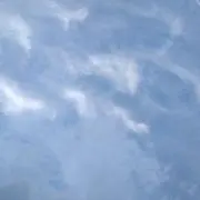 moの画像