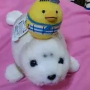 ゆかぴ