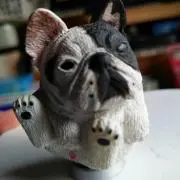 ひ～の画像