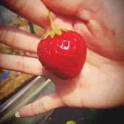 るるる.