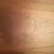 ぷー子の画像