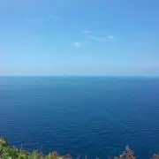 ビックダディ！プロフ必読！