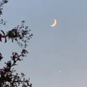 よいの画像