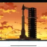 ハマの画像