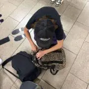 さかなの画像