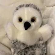 Kanyaの画像