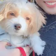Rinaの画像