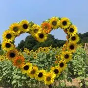 ☺︎の画像