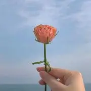 ma