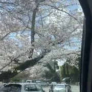 あ。。の画像