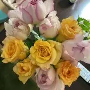 mam.の画像