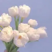 aamiTA★おまとめ買いお値引きしますの画像